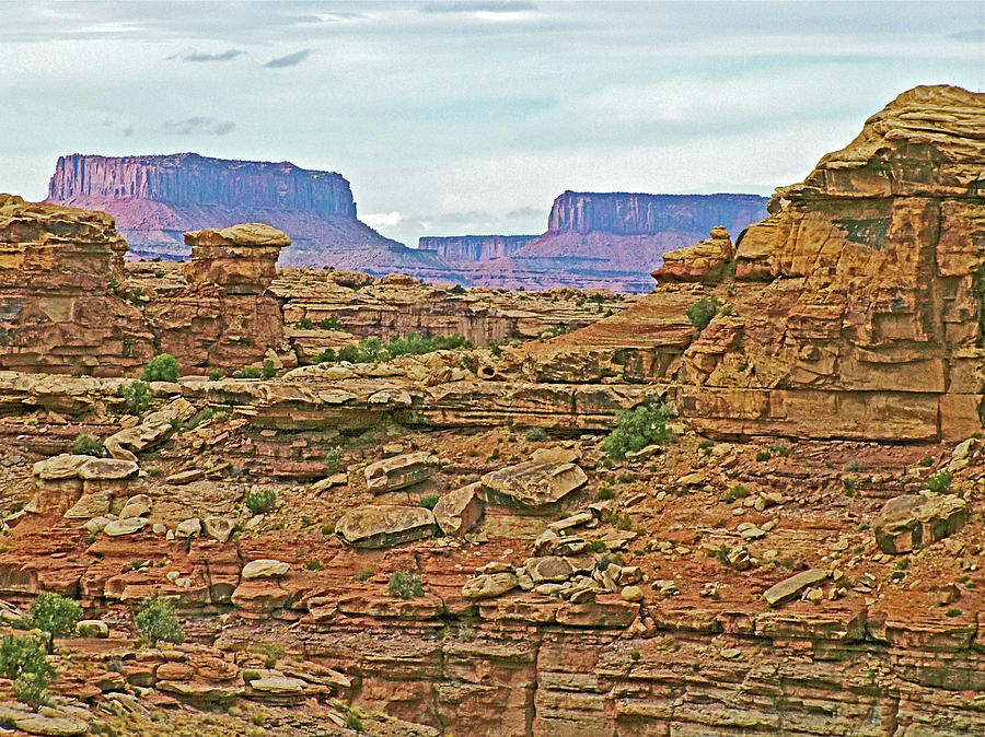 Big Spring Canyon Overlook in Needles District in Canyonlands National Park, Utah #2 Photograph by Ruth Hager