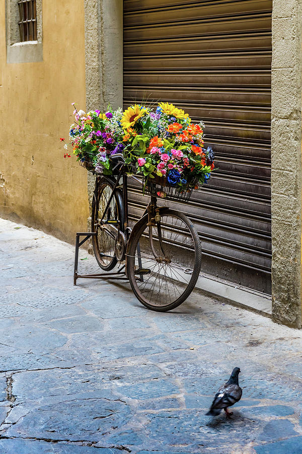 cycle with flowers images