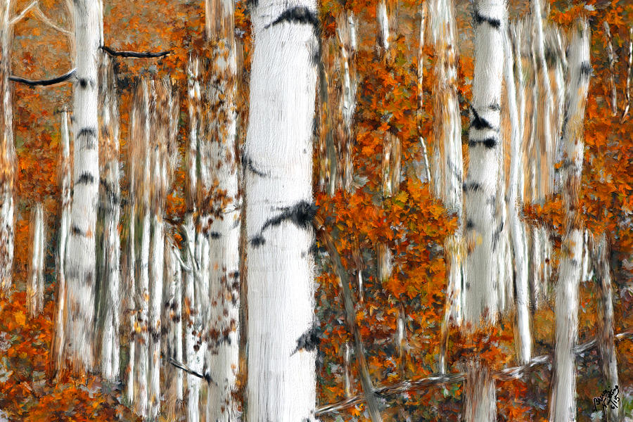 Birches #2 Painting by Bruce Nutting
