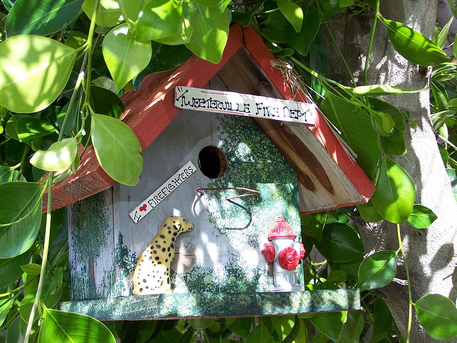 Bird House #2 Photograph by Pamela Walrath