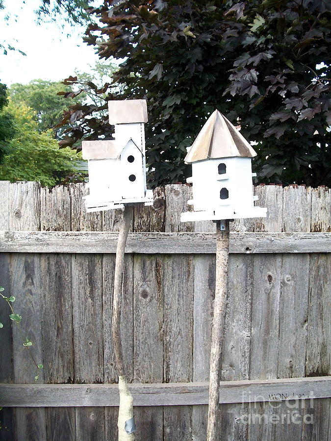 Bird Photograph - 2 Bird Houses And A Fence by Walter Neal