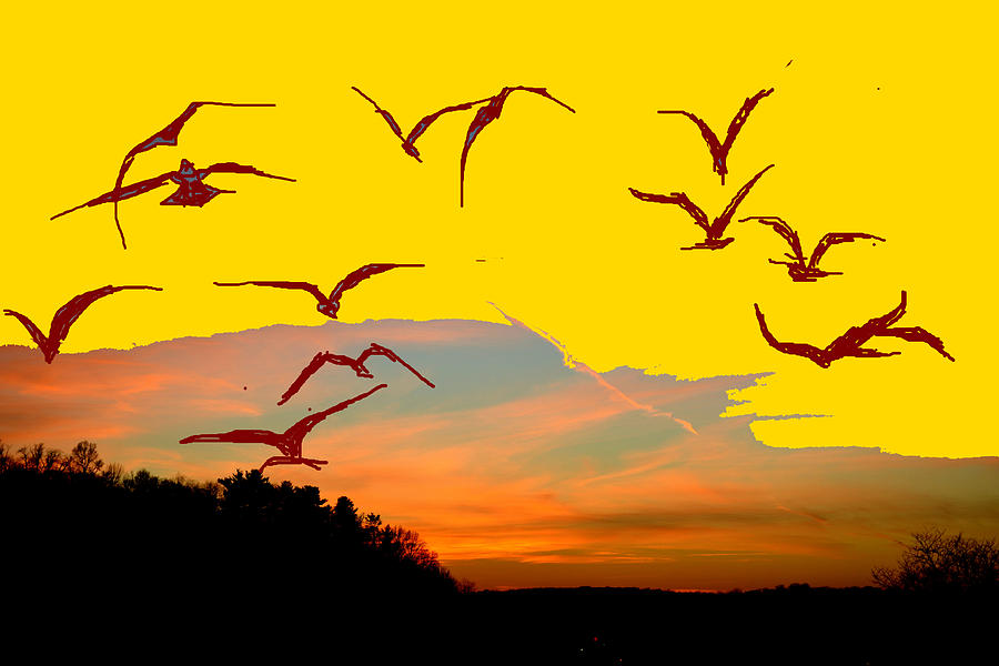 Bird Photograph - Birds In Flight #2 by Anand Swaroop Manchiraju