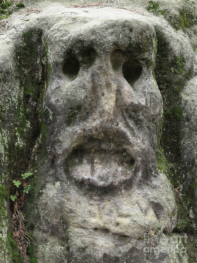 Bizarre Stone Heads - Rock Sculptures #2 Photograph by Michal Boubin