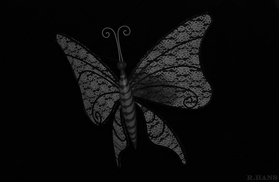 Black And White Butterfly #2 Photograph by Rob Hans