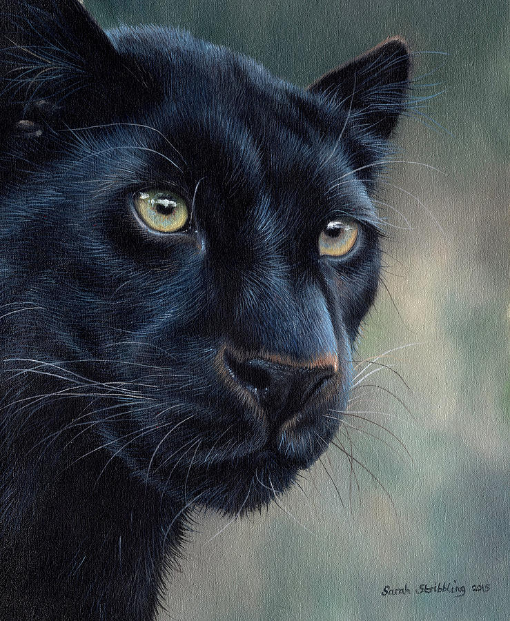 Black Panther Movie Painting - Black Panther #3 by Sarah Stribbling