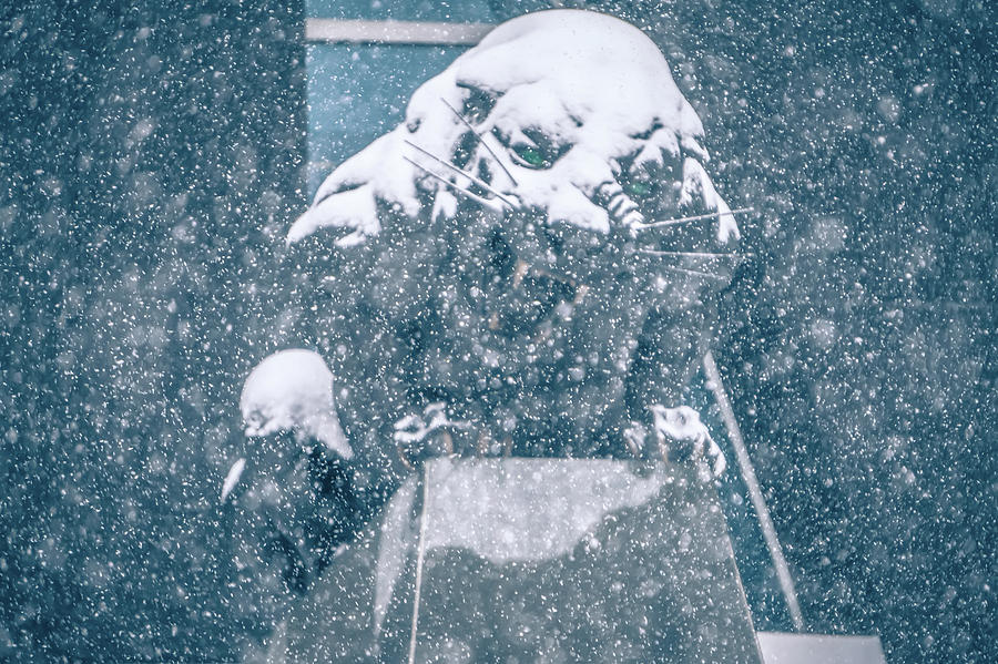 Black Panther Statue Seen Through Falling Snow Flakes #2 Photograph by Alex Grichenko