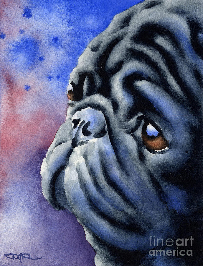 Dog Painting - Black Pug #1 by David Rogers