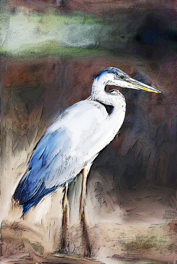 Blue Heron II  #2 Digital Art by Don Wright