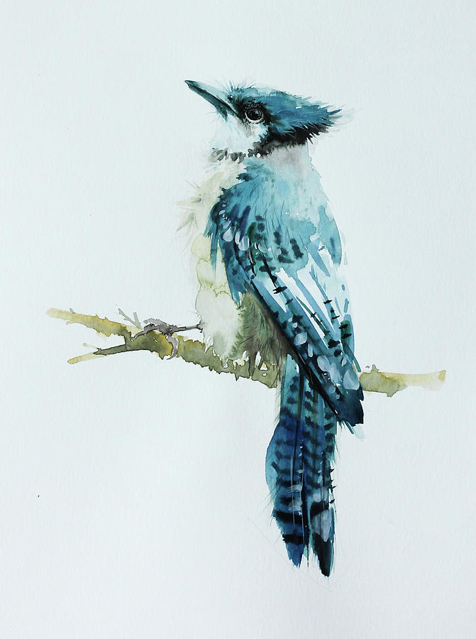 Blue jay Bird painting in watercolor Painting by Pornthep ...