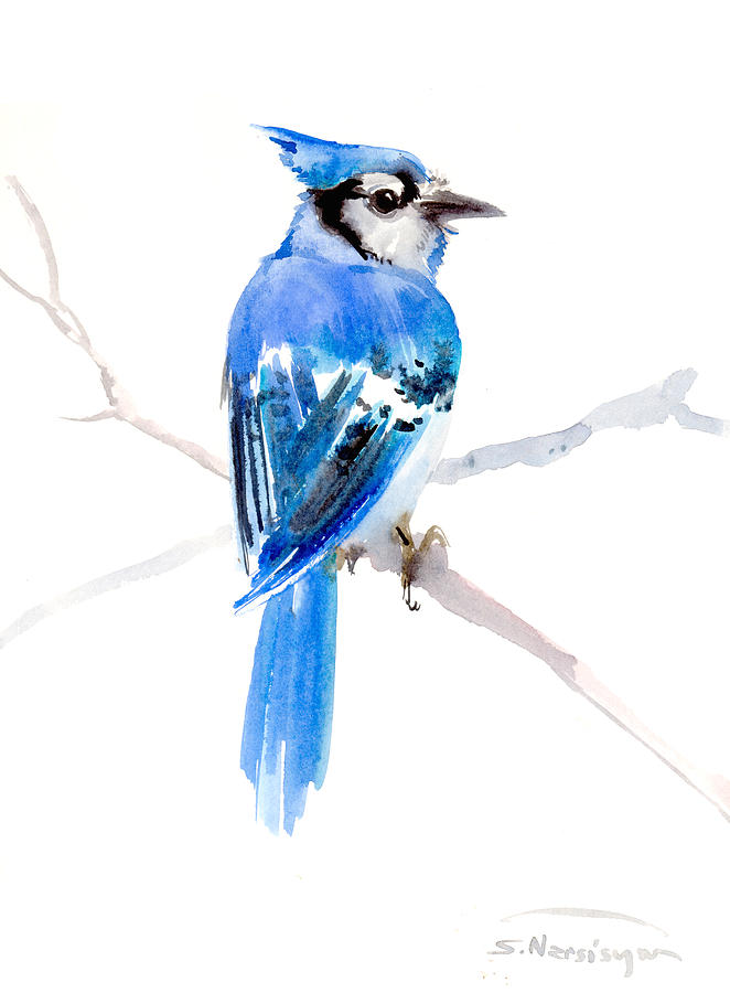 Blue Jay #2 Painting by Suren Nersisyan