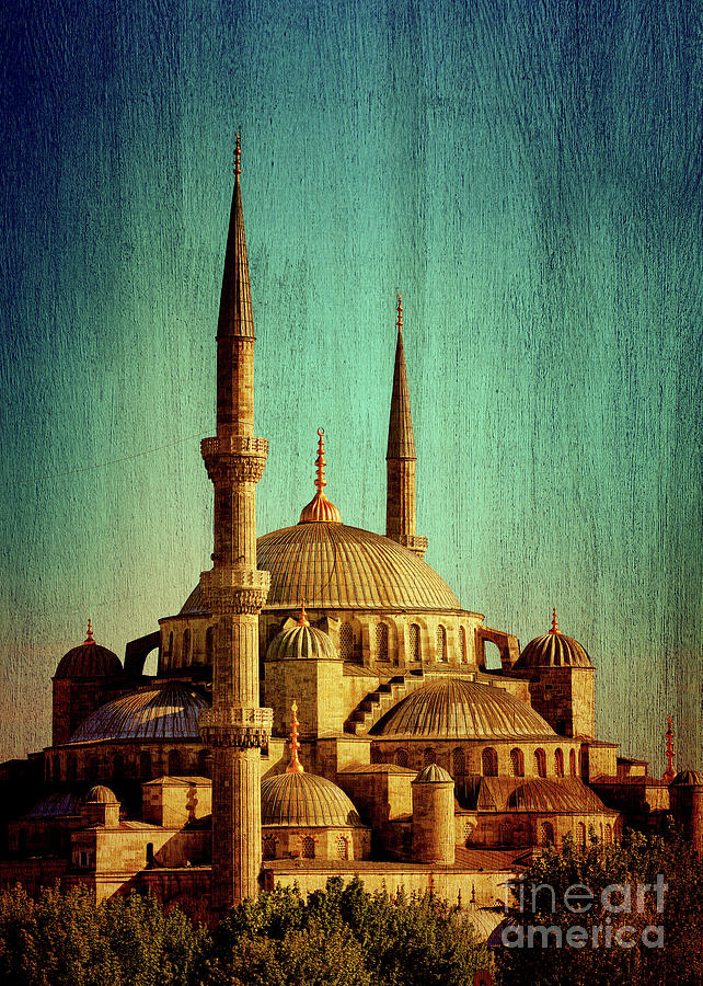 Blue mosque of Istanbul #2 Photograph by Anna Om
