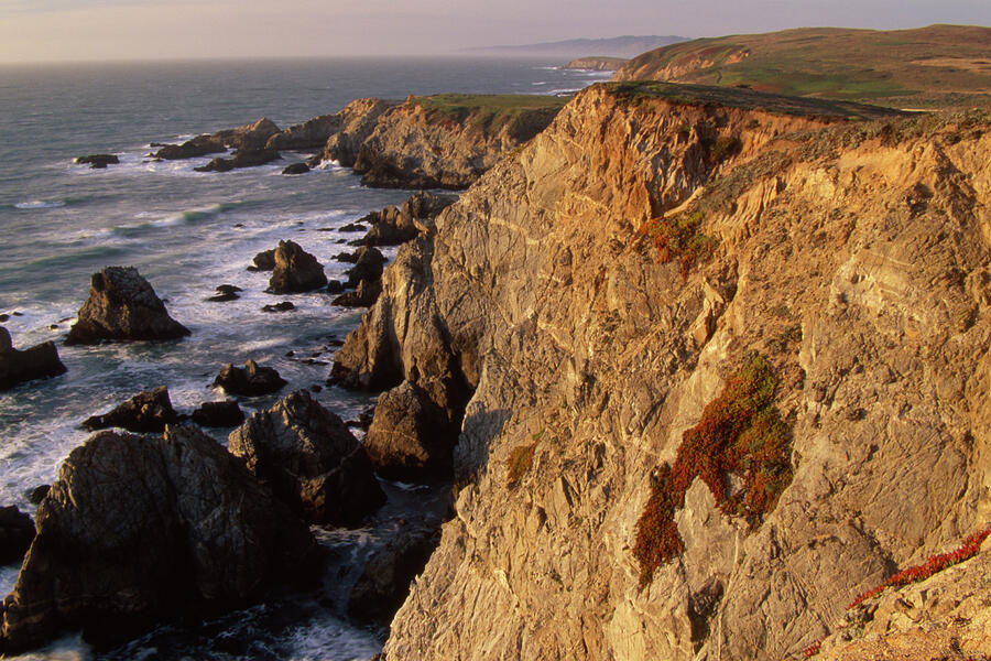 Bodega Head Photograph By Soli Deo Gloria Wilderness And Wildlife