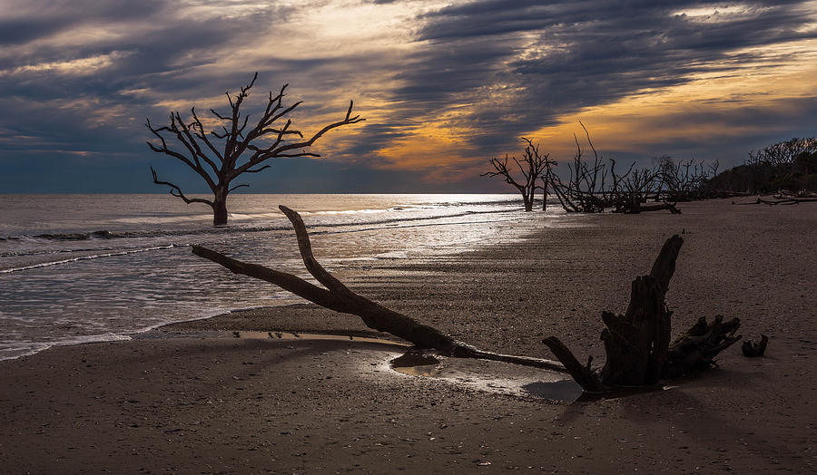 Sunset Photograph - Boneyard Beach #2 by Todd Wise