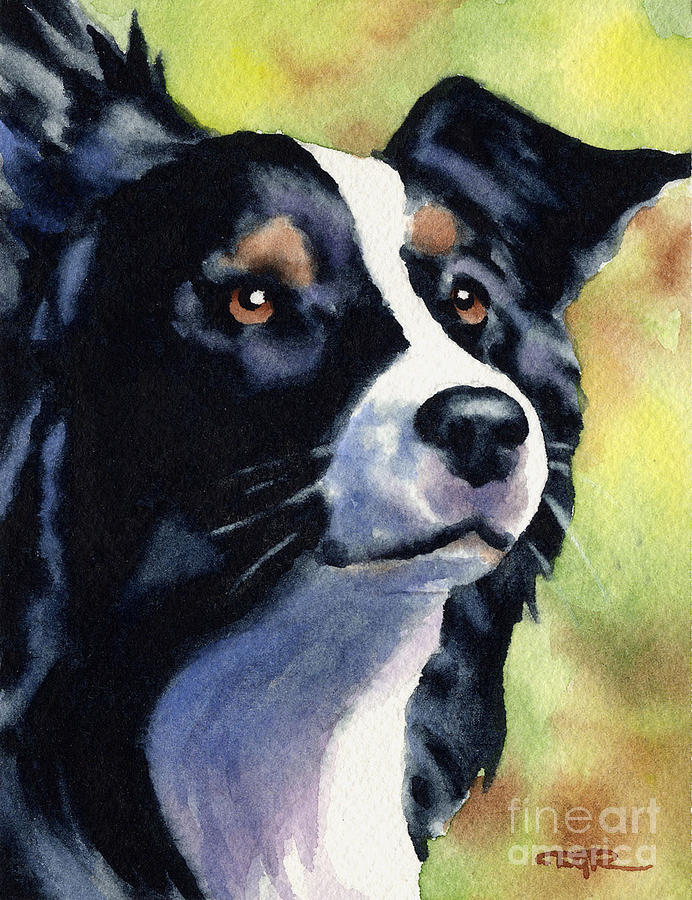 Dog Painting - Border Collie #1 by David Rogers