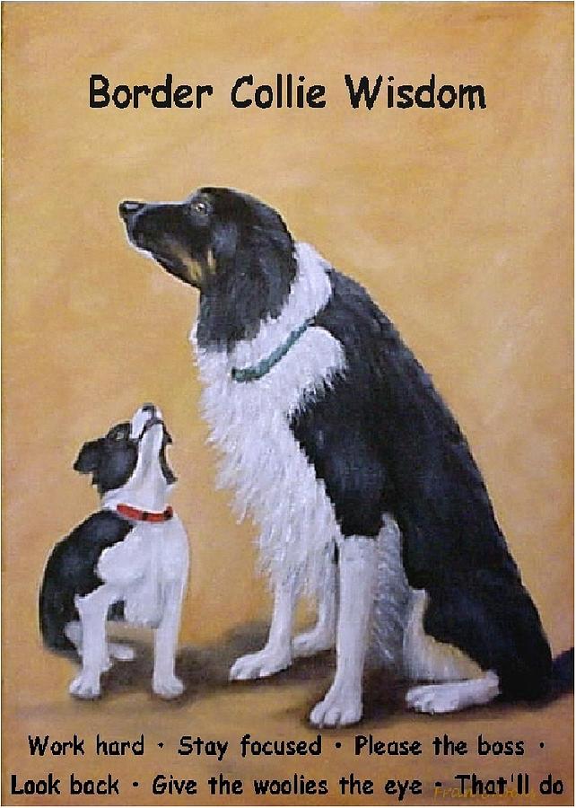 Border Collie Wisdom by Fran Brooks Border Collie Wisdom by Fran Brooks