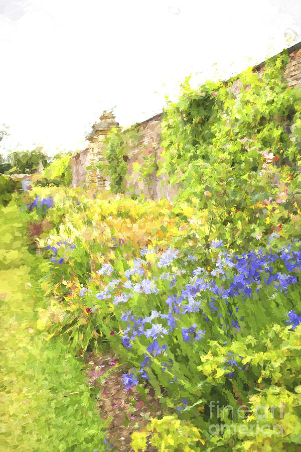 Border with colorful flowers painterly Photograph by Patricia Hofmeester