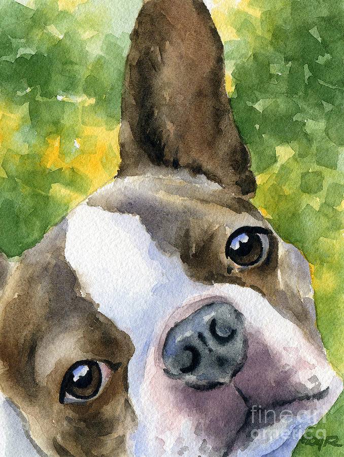 Boston Painting - Boston Terrier #1 by David Rogers