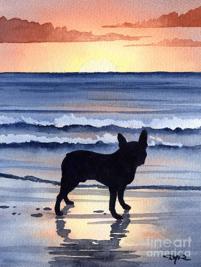 Boston Painting - Boston Terrier Sunset #1 by David Rogers
