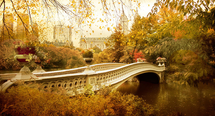 Bow Bridge Autumn Photograph by Jessica Jenney - Fine Art America