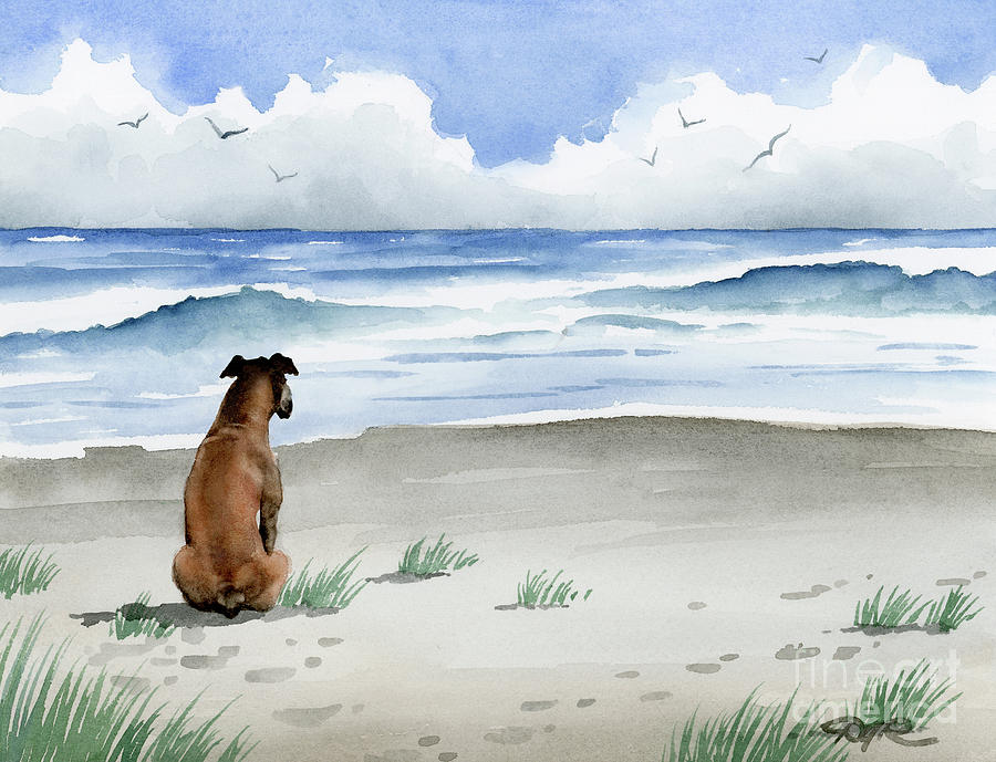 Beach Painting - Boxer at the Beach #1 by David Rogers