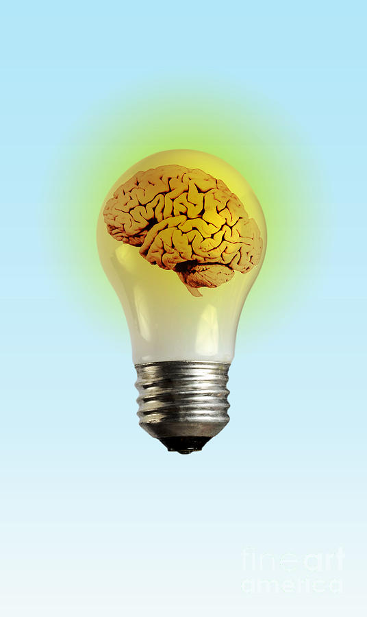 Brain In Lightbulb, Illustration #2 Photograph by Mary Martin