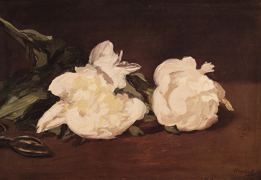 Spring Painting - Branch Of White Peonies And Secateurs #2 by Edouard Manet
