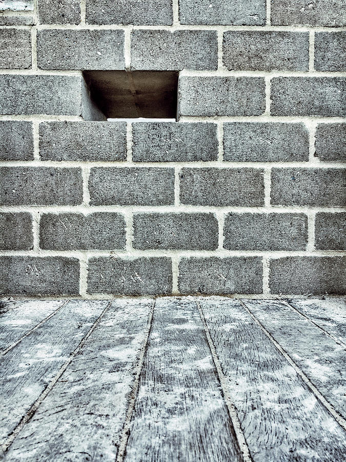 Brick wall background #2 Photograph by Tom Gowanlock