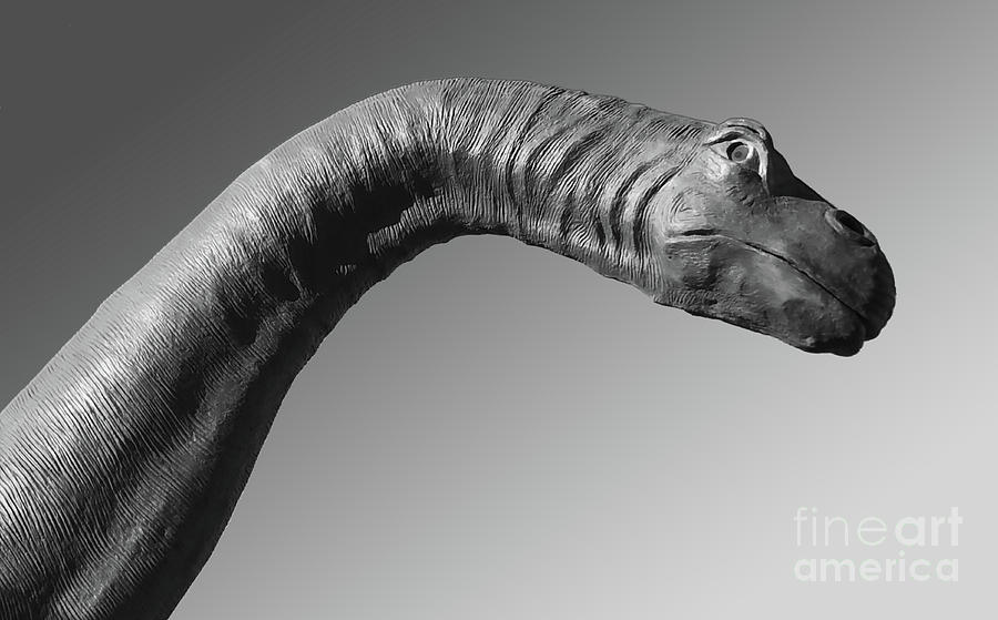 Dinosaur Photograph - Brontosaurus #2 by Gregory Dyer