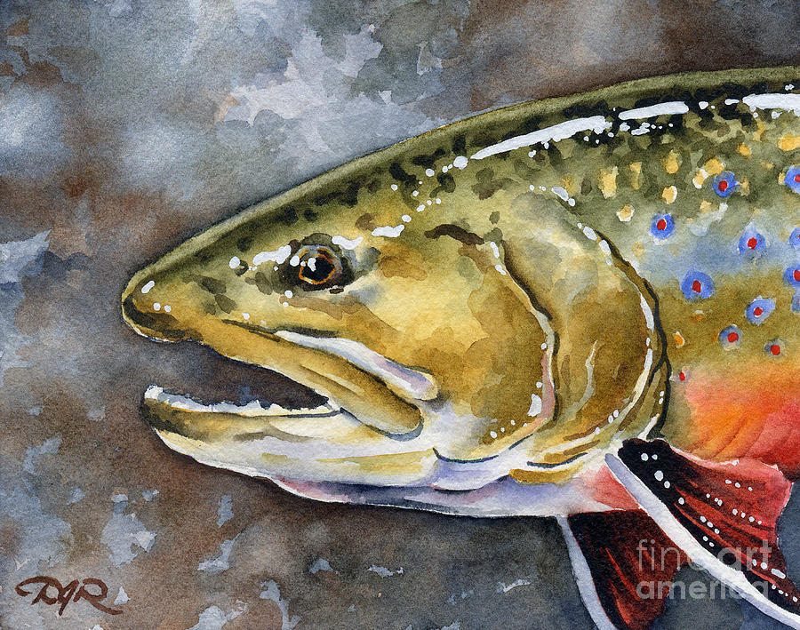Trout Painting - Brook Trout #2 by David Rogers