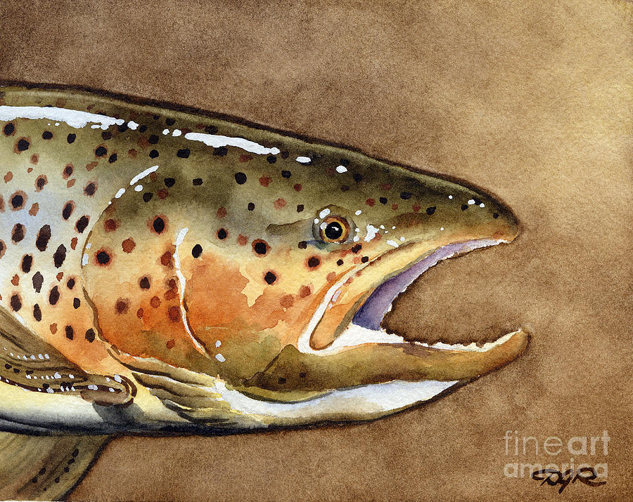 Trout Painting - Brown Trout #2 by David Rogers