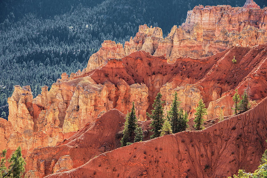 Bryce Canyon National Park Five Photograph by Jennie Marie Schell