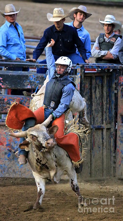 Bull Riding Photograph by Douglas Sacha - Fine Art America