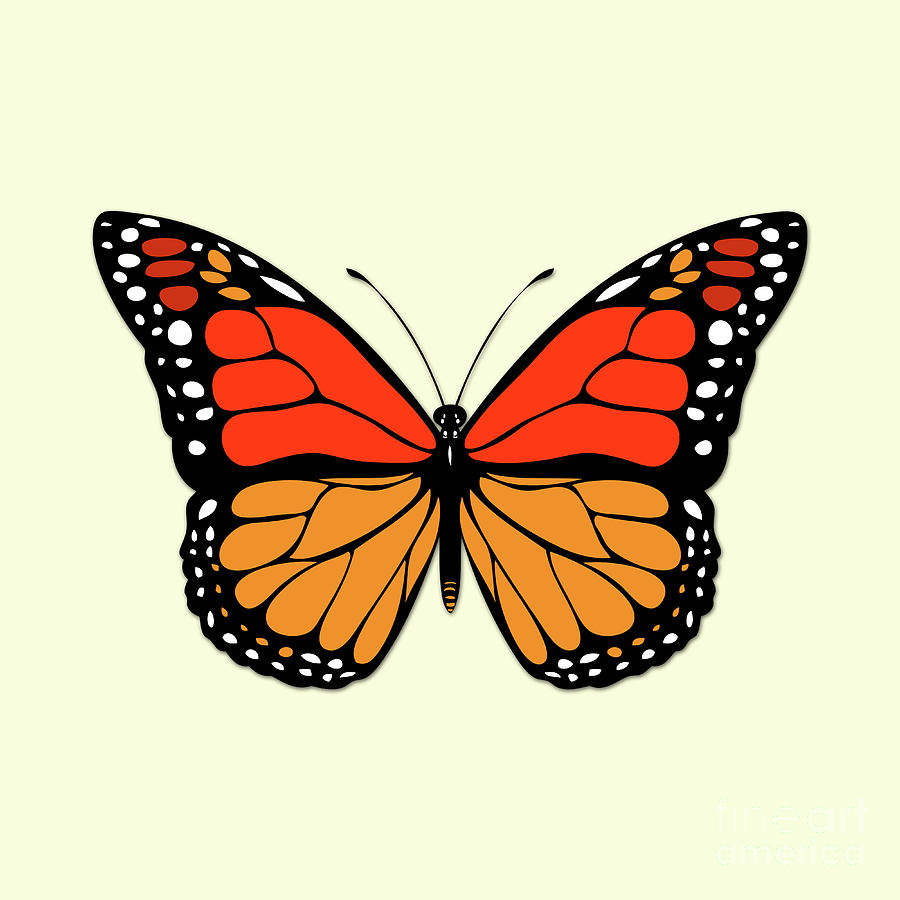 Butterfly #3 Digital Art by Gaspar Avila