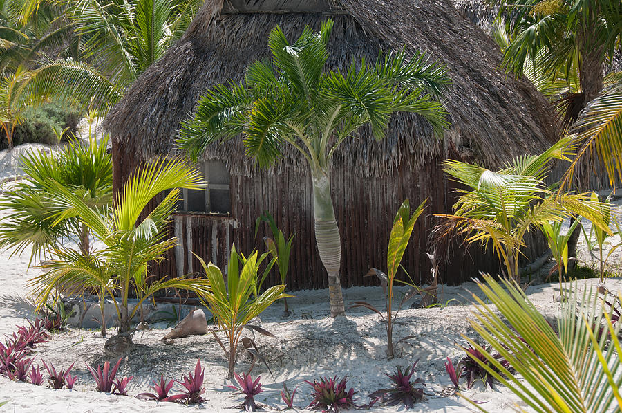 Cabanas on Tulum Beach #2 Digital Art by Carol Ailles
