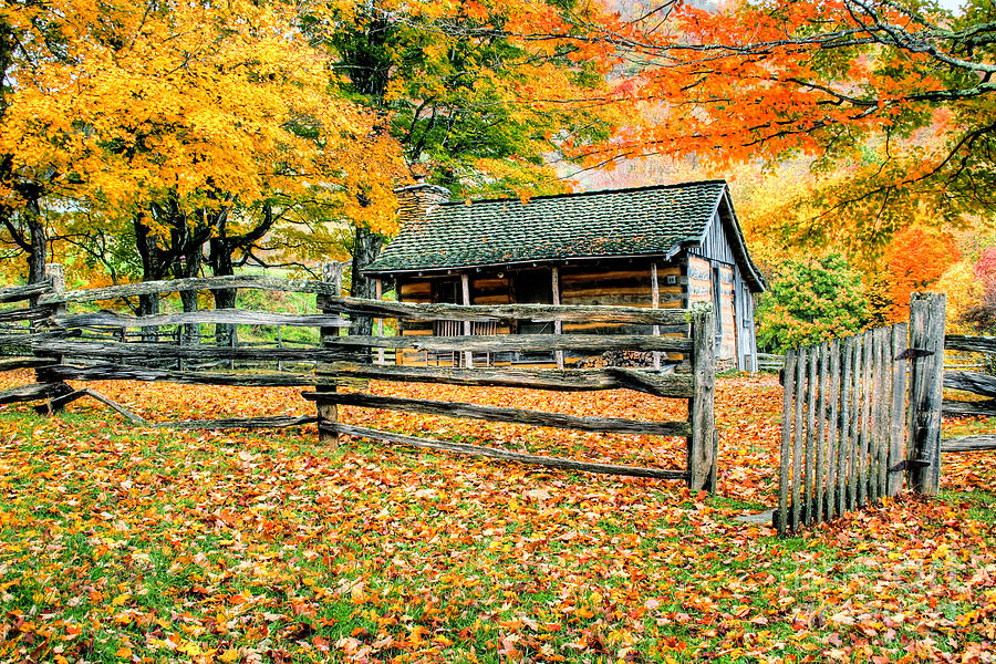 Fall Photograph - Cabin In The Woods #2 by Darren Fisher