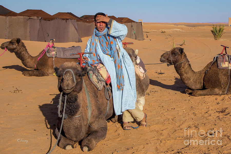 The Camel Driver Photograph by Rene Triay FineArt Photos