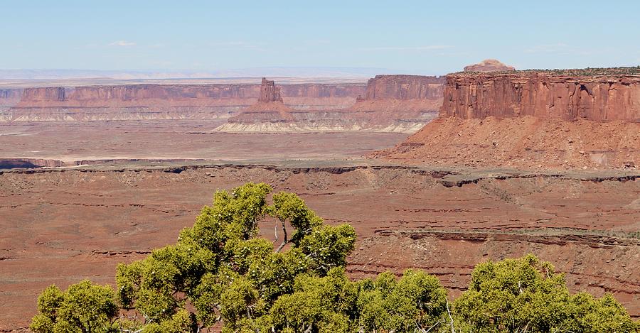 Canyonlands View - 3 Photograph by Christy Pooschke