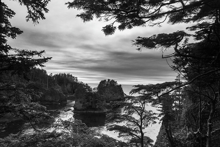 Cape Flattery View Point #2 Photograph by Scott Cunningham