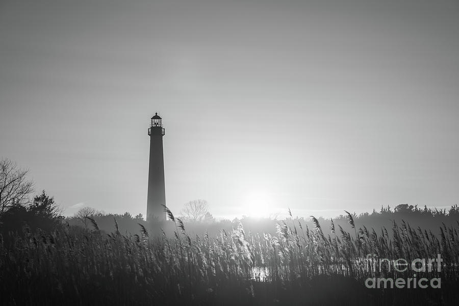 Cape May Lighthouse Sunset BW #2 Photograph by Michael Ver Sprill