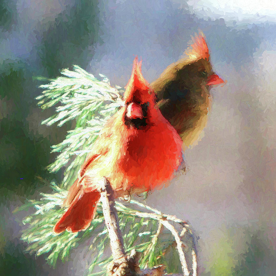 Cardinals #2 Photograph by John Freidenberg