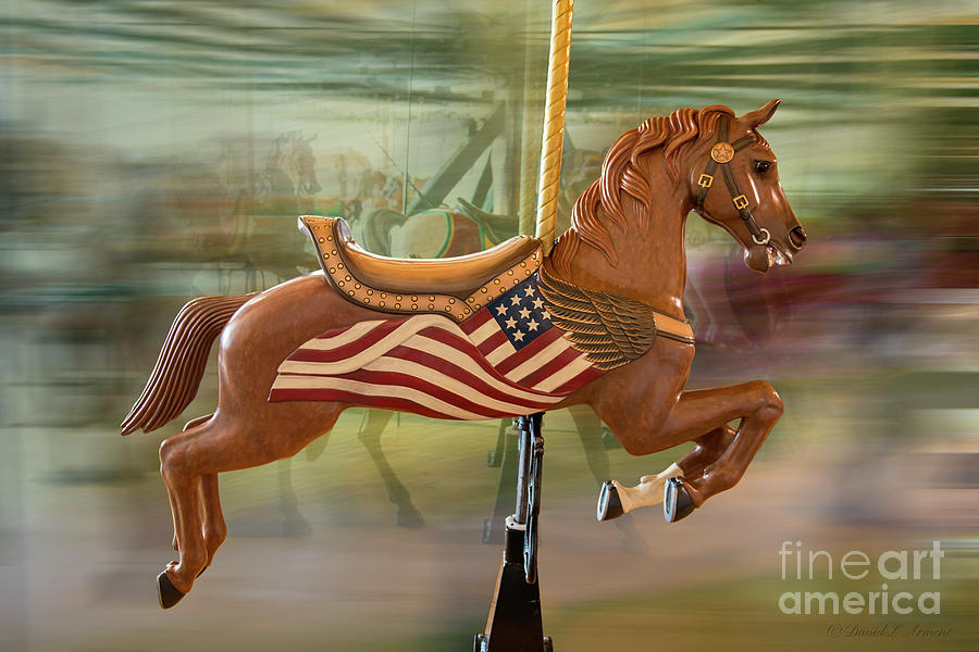 Carousel Horse #1 Photograph by David Arment