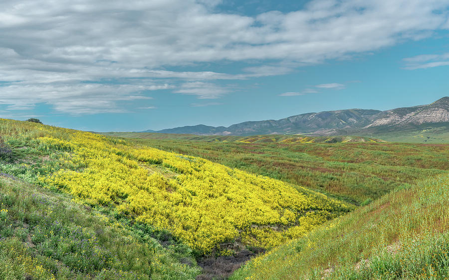 California Photograph - Carrizo Plain by Joseph Smith California Photograph - Carrizo Plain by Joseph Smith