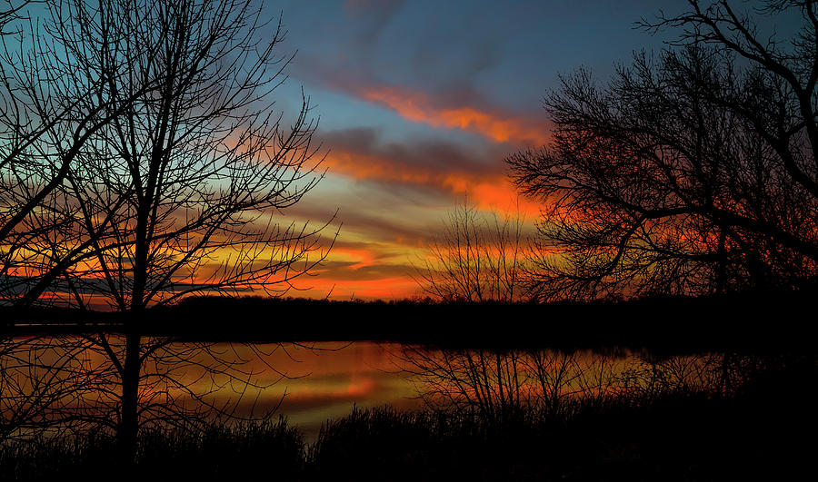 Carver Park Reserve Photograph by Nick Peters - Fine Art America