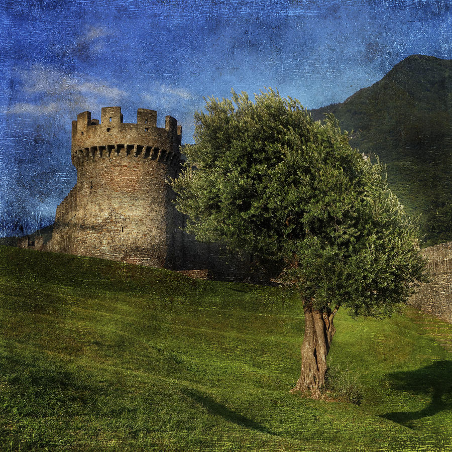 Castle Photograph - Castle #2 by Joana Kruse