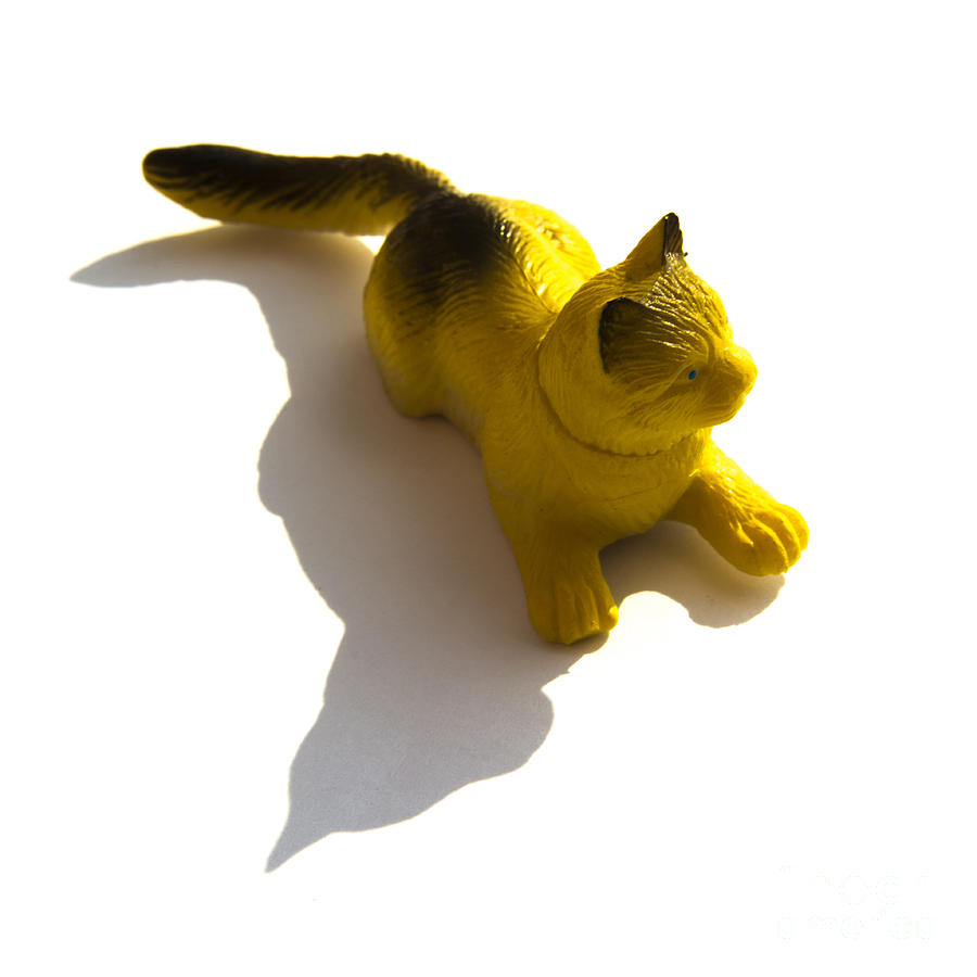 Animal Photograph - Cat figurine #2 by Bernard Jaubert