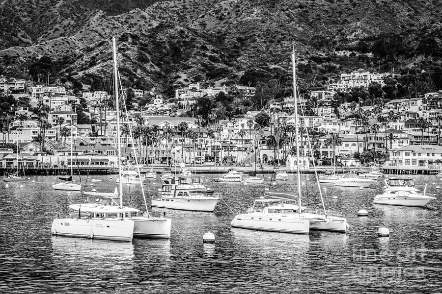Catalina Island Avalon Bay Black and White Photo #2 Photograph by Paul Velgos
