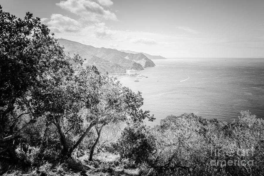 Catalina Island Avalon Bay Black and White Picture #2 Photograph by Paul Velgos
