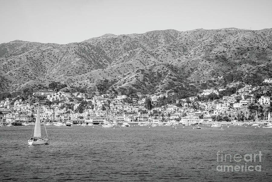 Catalina Island Avalon Harbor Black and White Photo #3 Photograph by Paul Velgos
