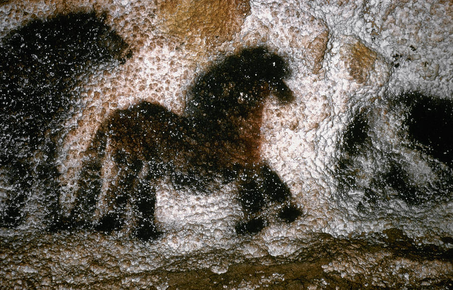 Cave Art Lascaux Photograph By Granger Fine Art America   2 Cave Art Lascaux Granger 