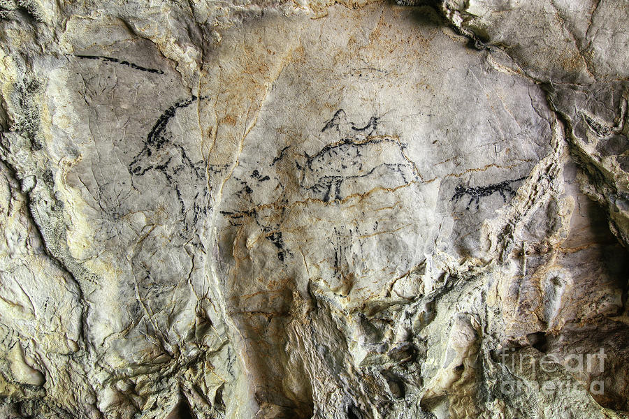 Cave painting in prehistoric style #2 Photograph by Michal Boubin